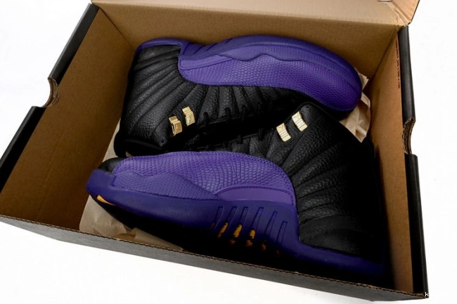 Rep MAX Air Field Jordan Retro 12 CT8013-057 Purple 0713
